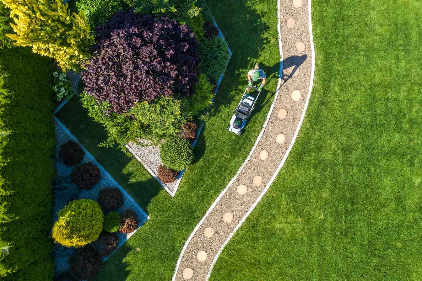 mantenimiento de jardines Zaragoza